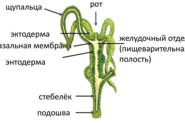 Блэкспрут ссылка пв