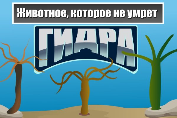 Как найти сайт меги блэкспрута