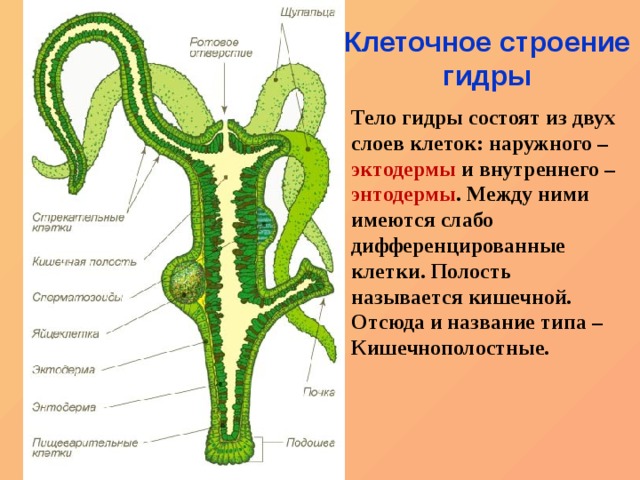 Рабочее зеркало blacksprut bs2me run